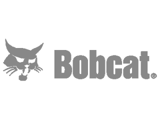 Bobcat